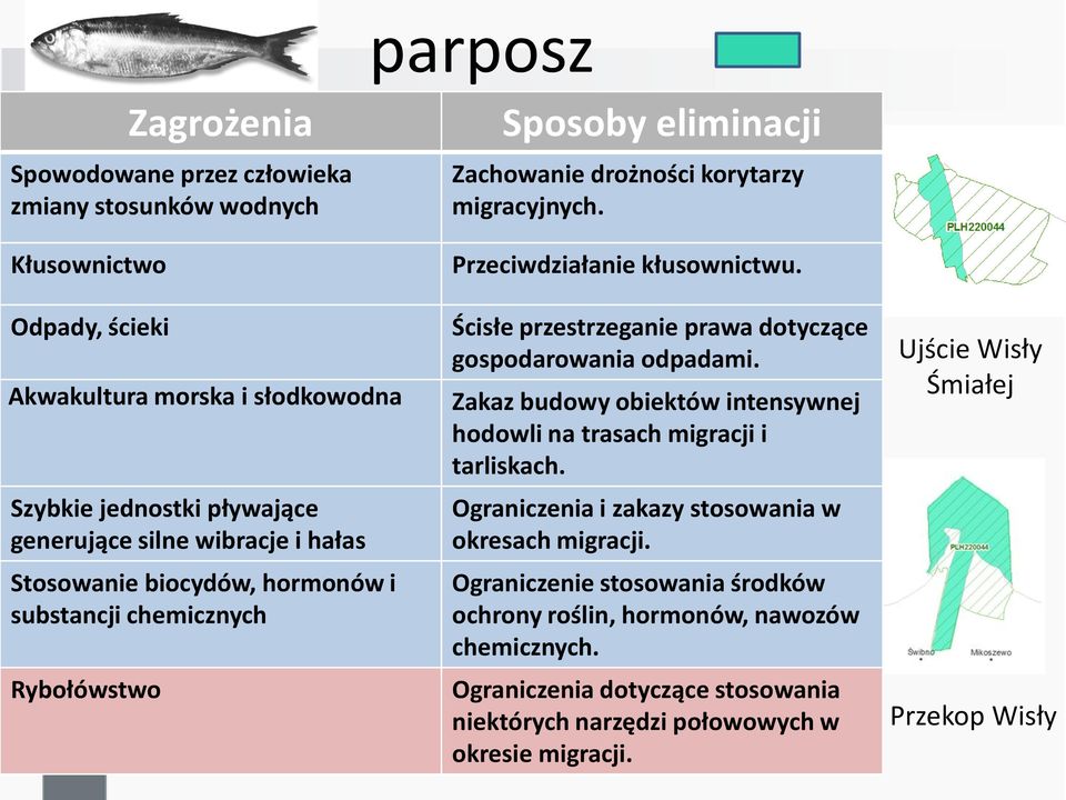 Ścisłe przestrzeganie prawa dotyczące gospodarowania odpadami. Zakaz budowy obiektów intensywnej hodowli na trasach migracji i tarliskach.