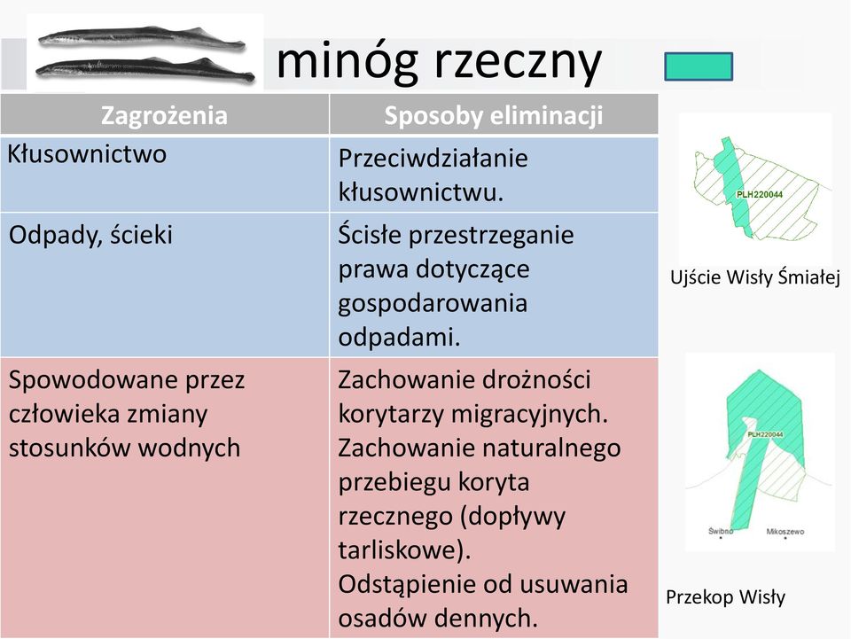 Ścisłe przestrzeganie prawa dotyczące gospodarowania odpadami.