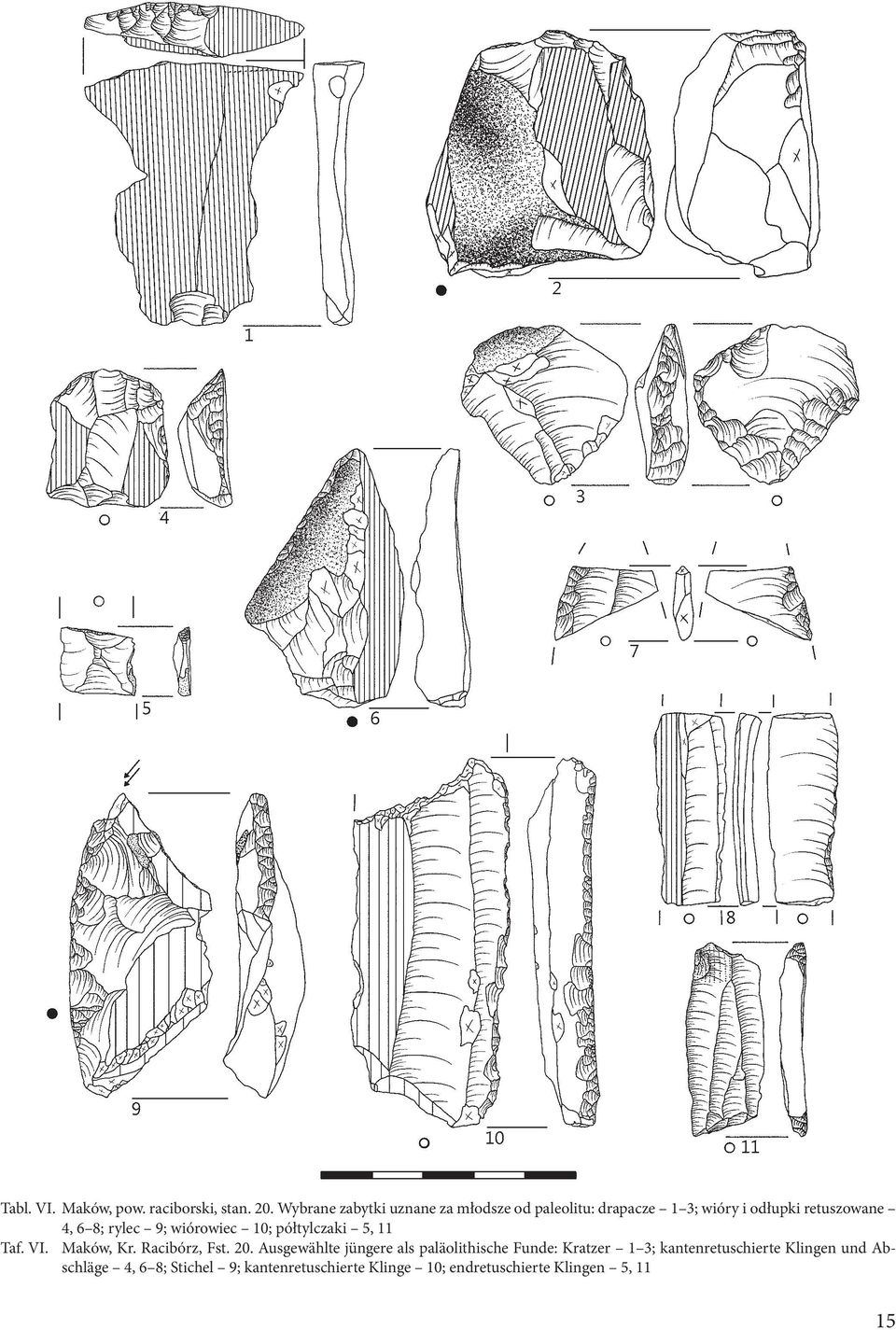 rylec 9; wiórowiec 10; półtylczaki 5, 11 Taf. VI. Maków, Kr. Racibórz, Fst. 20.
