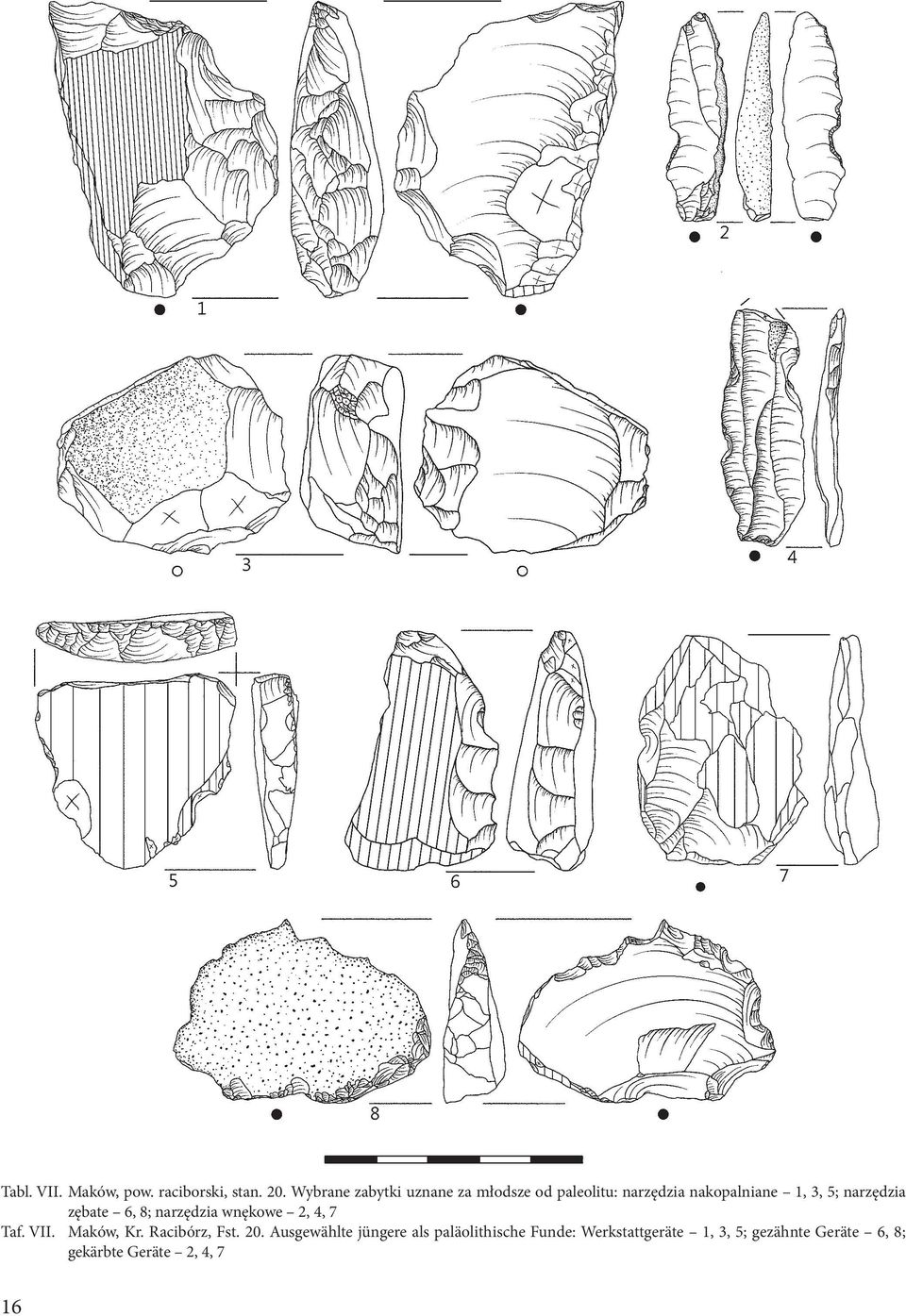 narzędzia zębate 6, 8; narzędzia wnękowe 2, 4, 7 Taf. VII. Maków, Kr. Racibórz, Fst.