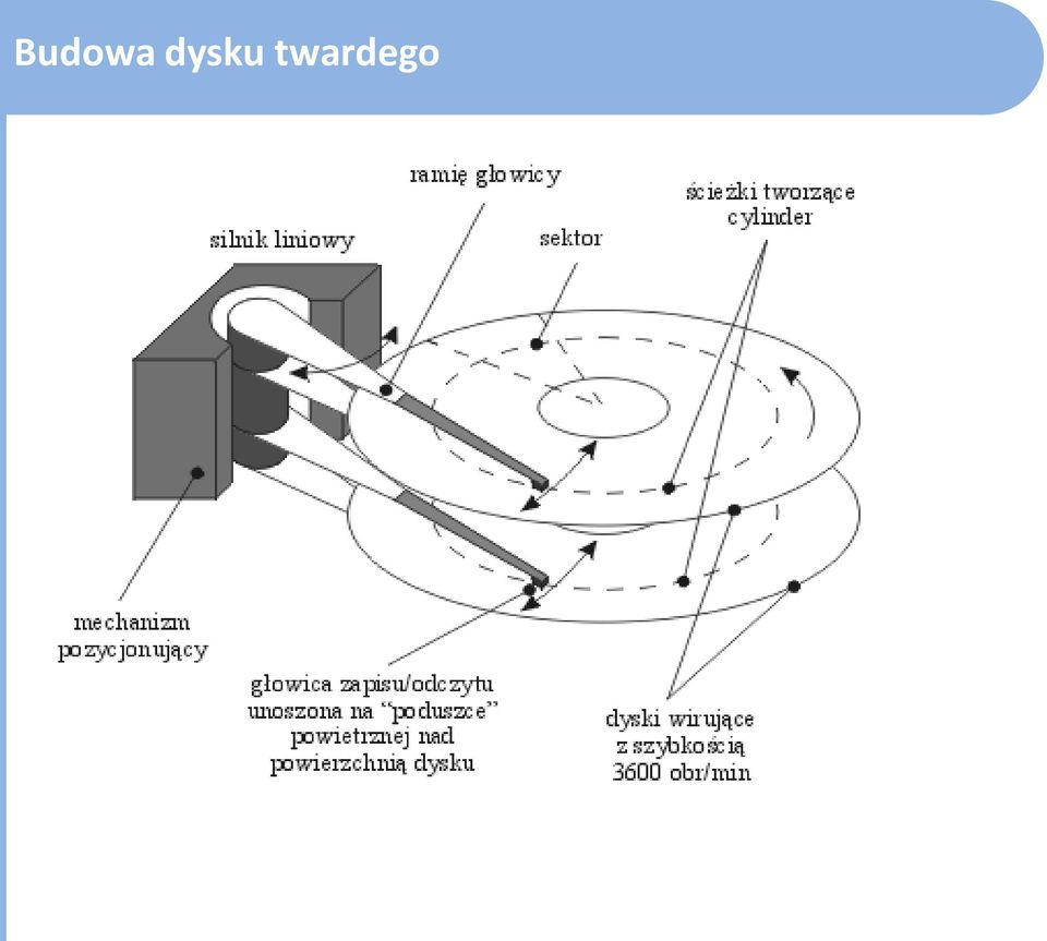 twardego