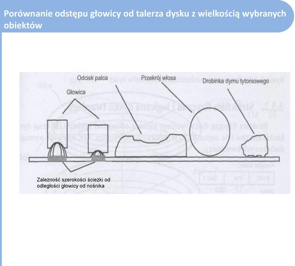 wybranych obiektów Zależność