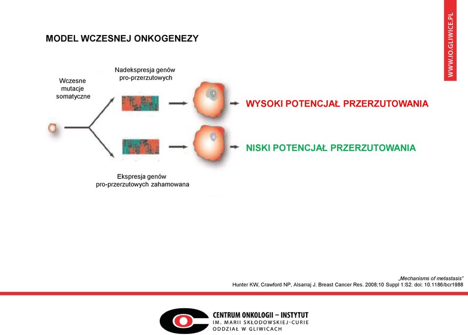 PRZERZUTOWANIA Ekspresja genów pro-przerzutowych zahamowana Mechanisms of