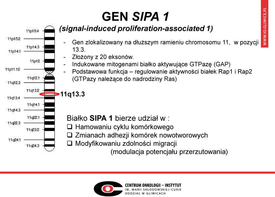 - Indukowane mitogenami białko aktywujące GTPazę (GAP) - Podstawowa funkcja regulowanie aktywności białek Rap1 i Rap2