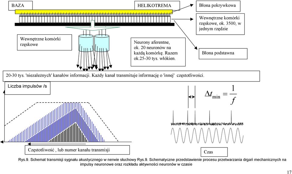 Każdy kanał transmituje informację o 'innej' częstotliwości. Liczba impulsów /s t min = 1 f Częstotliwość, lub numer kanału transmisji Rys.9.
