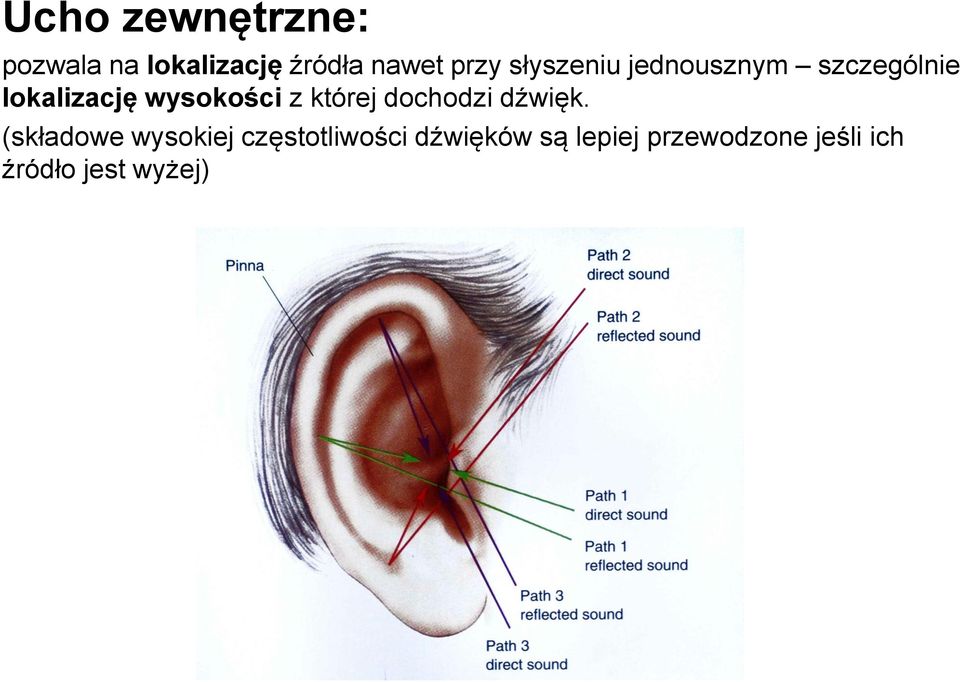 której dochodzi dźwięk.