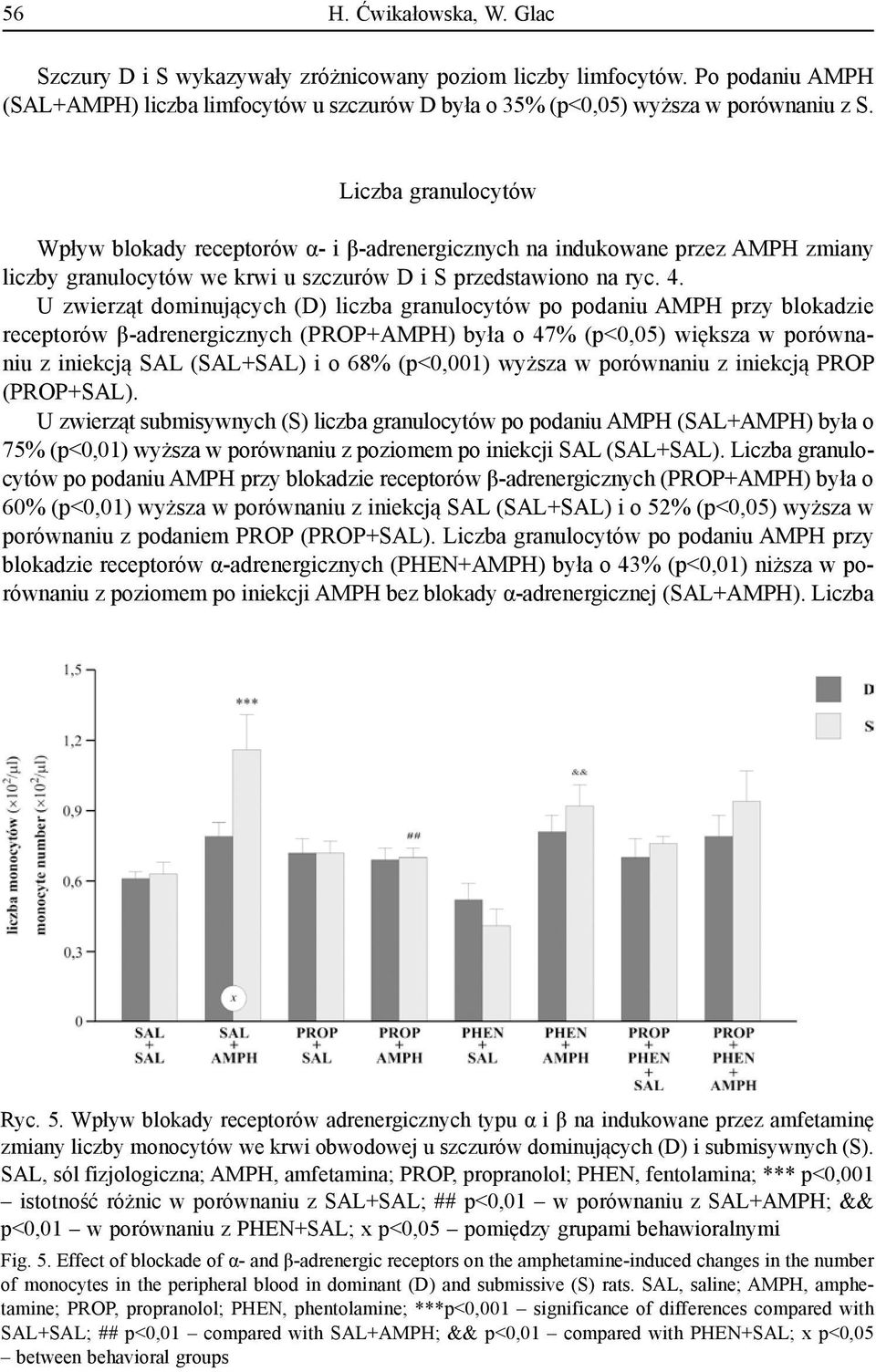 U zwierząt dominujących (D) liczba granulocytów po podaniu AMPH przy blokadzie receptorów β-adrenergicznych (PROP+AMPH) była o 47% (p<0,05) większa w porównaniu z iniekcją SAL (SAL+SAL) i o 68%