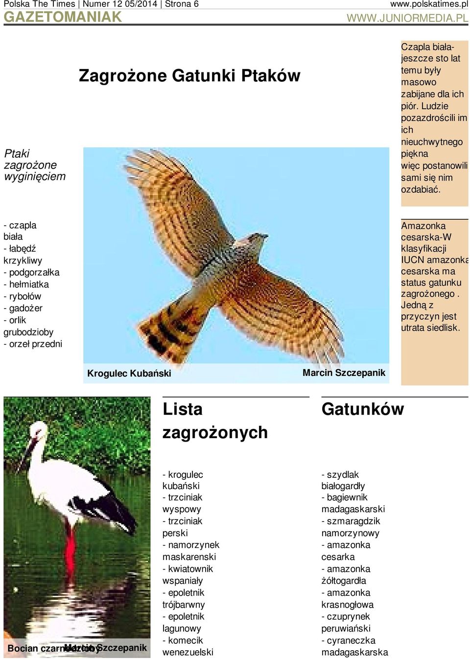 - czapla biała - łabędź krzykliwy - podgorzałka - hełmiatka - rybołów - gadożer - orlik grubodzioby - orzeł przedni Amazonka cesarska-w klasyfikacji IUCN amazonka cesarska ma status gatunku