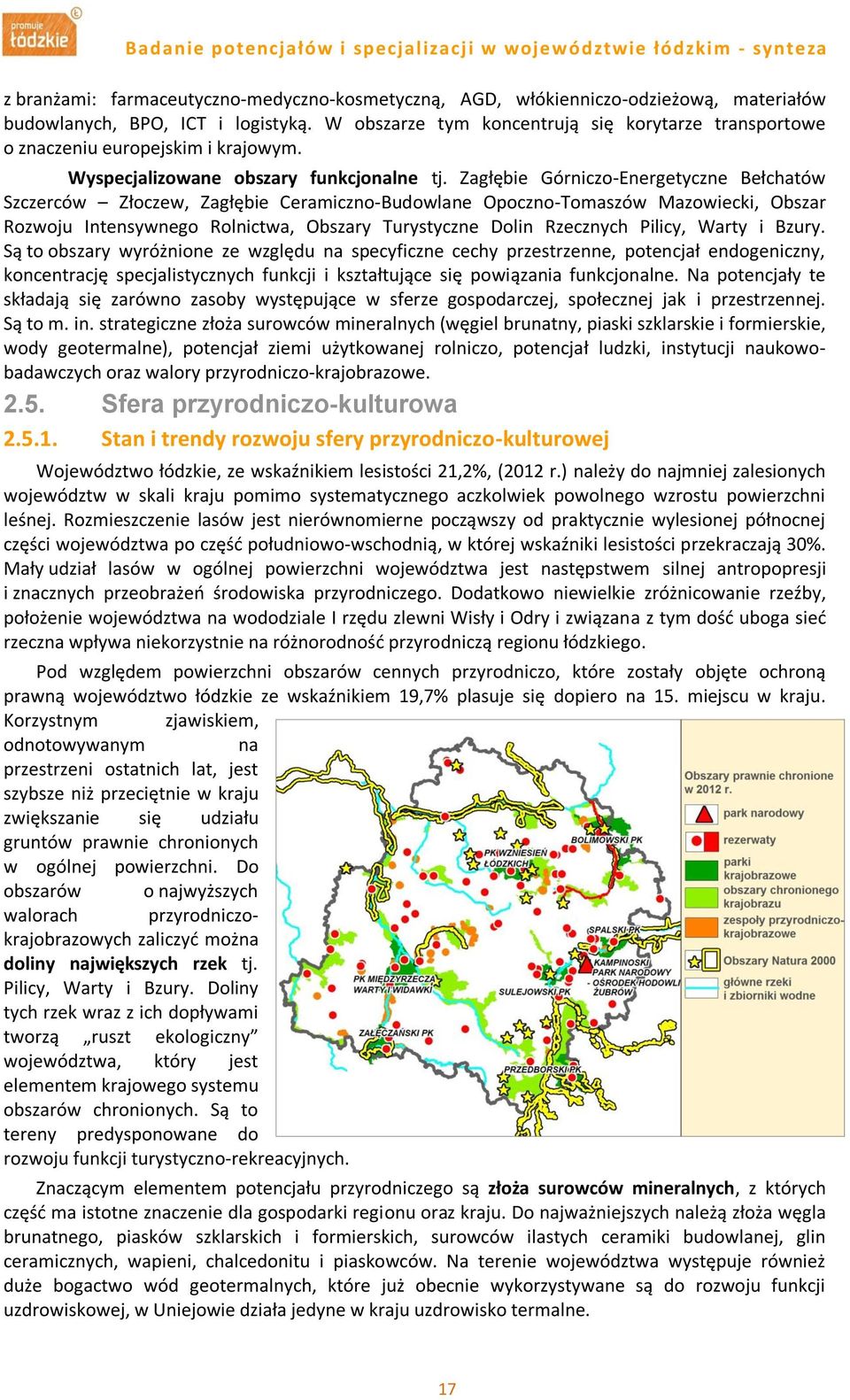 Zagłębie Górniczo-Energetyczne Bełchatów Szczerców Złoczew, Zagłębie Ceramiczno-Budowlane Opoczno-Tomaszów Mazowiecki, Obszar Rozwoju Intensywnego Rolnictwa, Obszary Turystyczne Dolin Rzecznych