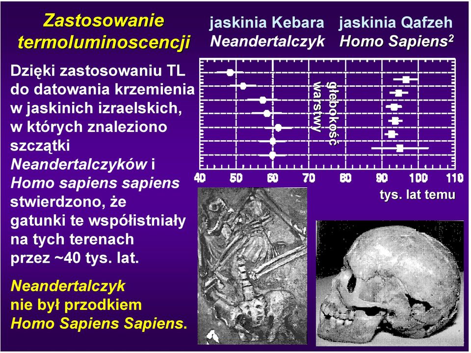Neandertalczyków i Homo sapiens sapiens stwierdzono, że gatunki te współistniały na tych terenach