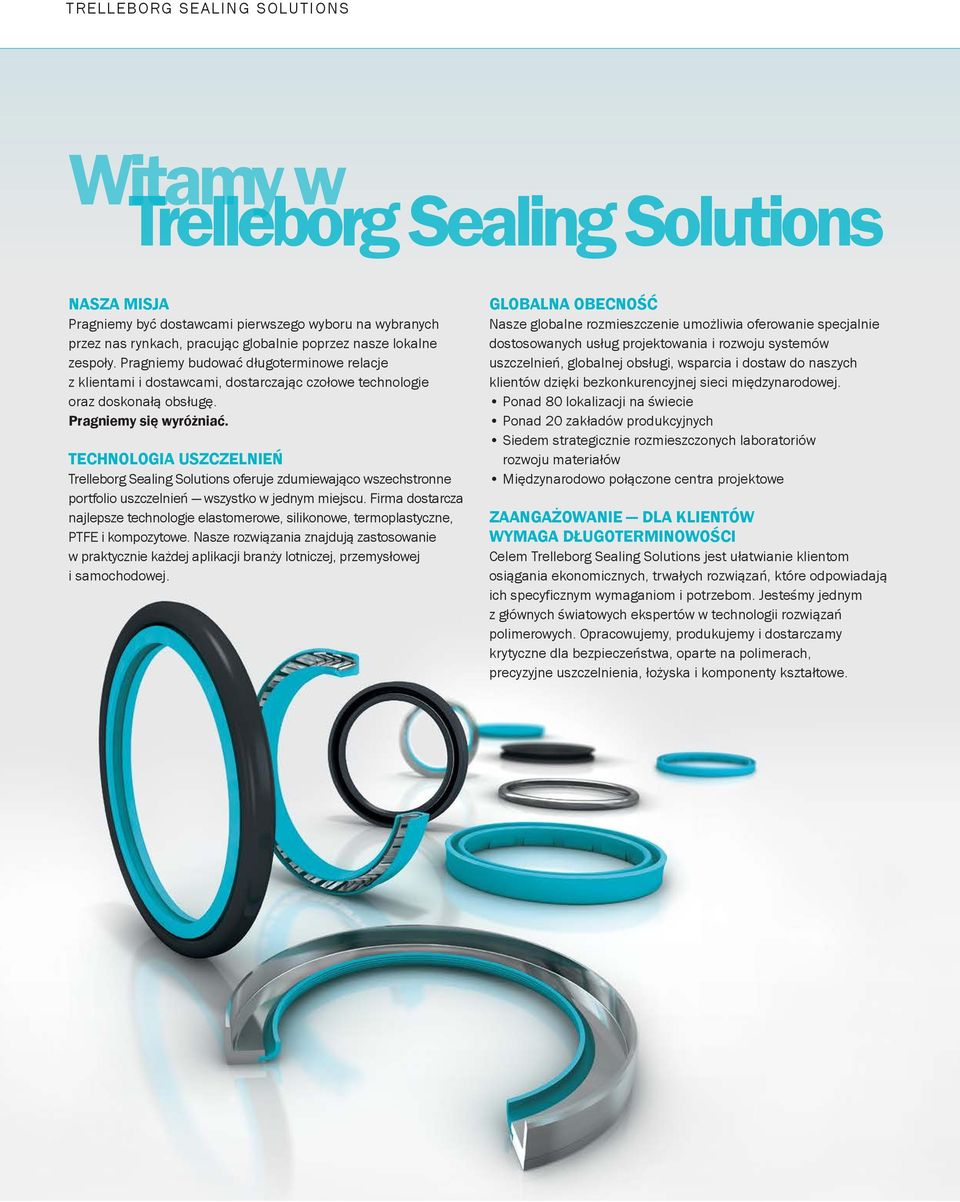 Technologia uszczelnień Trelleborg Sealing Solutions oferuje zdumiewająco wszechstronne portfolio uszczelnień wszystko w jednym miejscu.