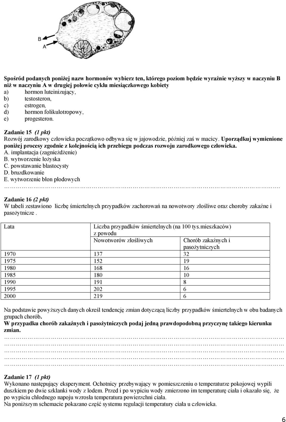 Uporządkuj wymienione poniżej procesy zgodnie z kolejnością ich przebiegu podczas rozwoju zarodkowego człowieka. A. implantacja (zagnieżdżenie) B. wytworzenie łożyska C. powstawanie blastocysty D.