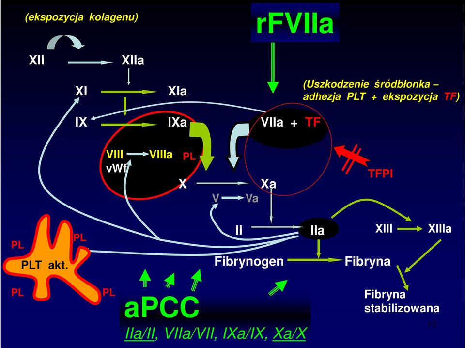 VIIIa vwf PL X V Va Xa TFPI PL PLT akt.