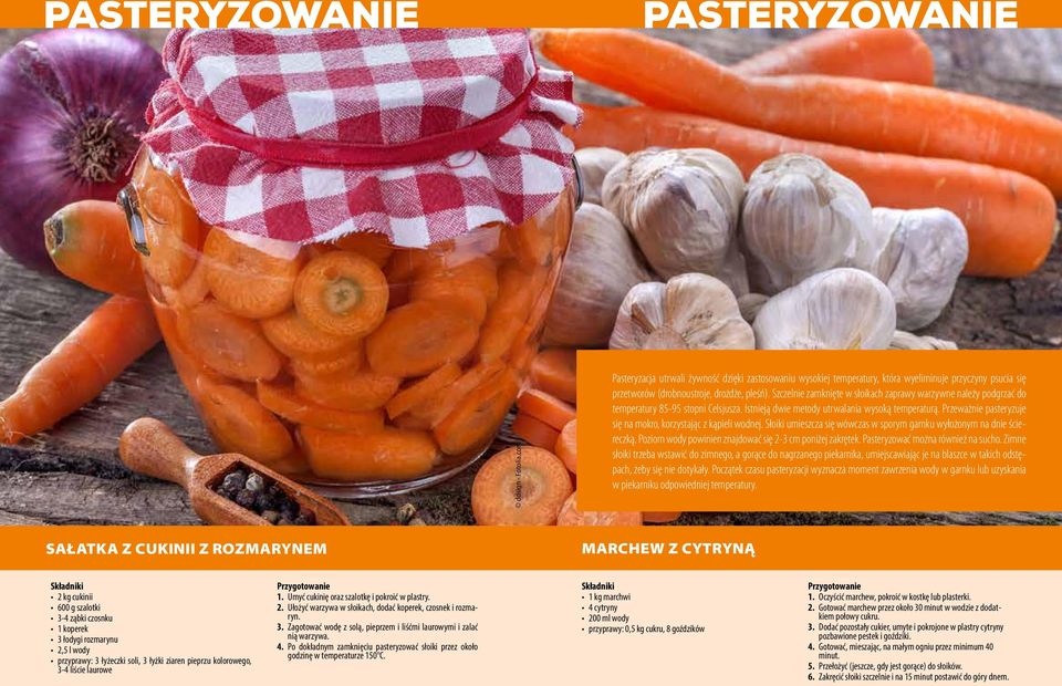 przetworów przetworów (drobnoustroje, drożdże, drożdże, pleśń).