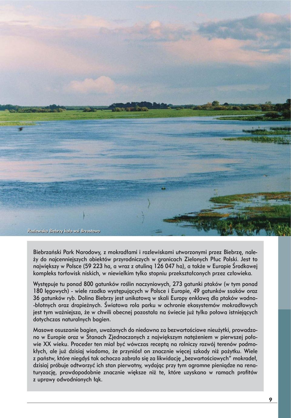 Występuje tu ponad 800 gatunków roślin naczyniowych, 273 gatunki ptaków (w tym ponad 180 lęgowych) - wiele rzadko występujących w Polsce i Europie, 49 gatunków ssaków oraz 36 gatunków ryb.