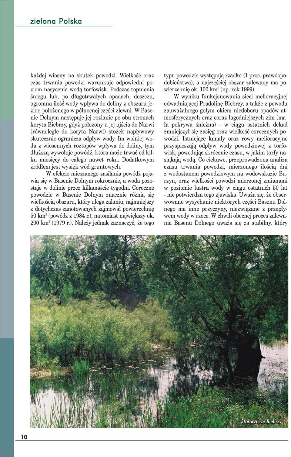 W Basenie Dolnym następuje jej rozlanie po obu stronach koryta Biebrzy, gdyż położony u jej ujścia do Narwi (równolegle do koryta Narwi) stożek napływowy skutecznie ogranicza odpływ wody.