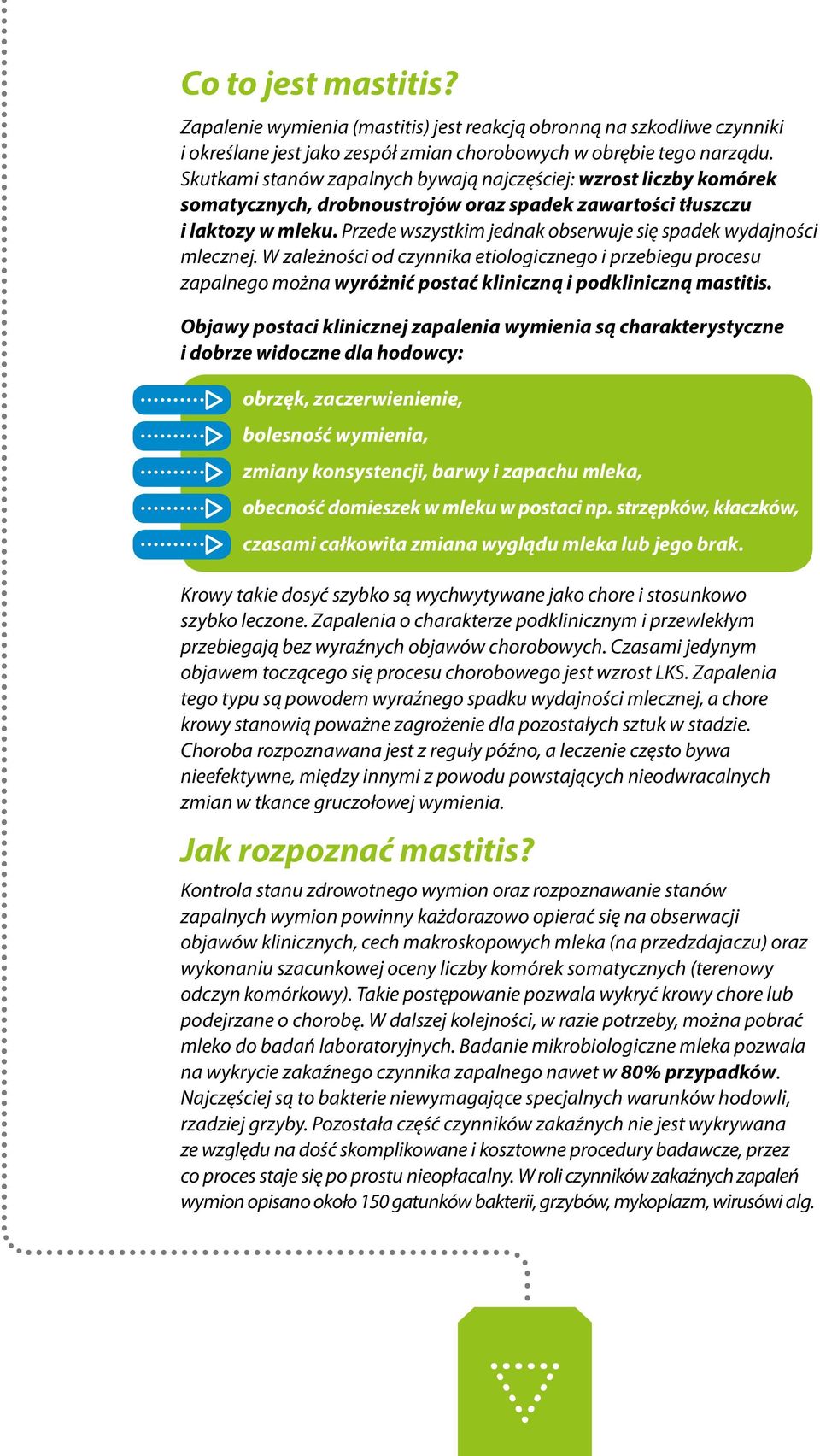 Przede wszystkim jednak obserwuje się spadek wydajności mlecznej. W zależności od czynnika etiologicznego i przebiegu procesu zapalnego można wyróżnić postać kliniczną i podkliniczną mastitis.