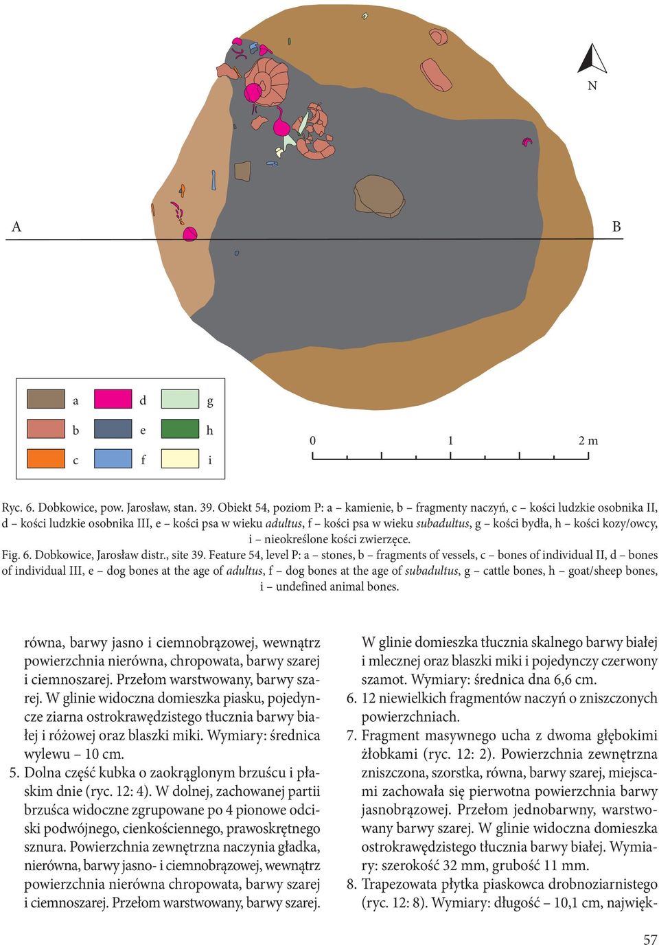 kozy/owcy, i nieokreślone kości zwierzęce. Fig. 6. Dobkowice, Jarosław distr., site 39.