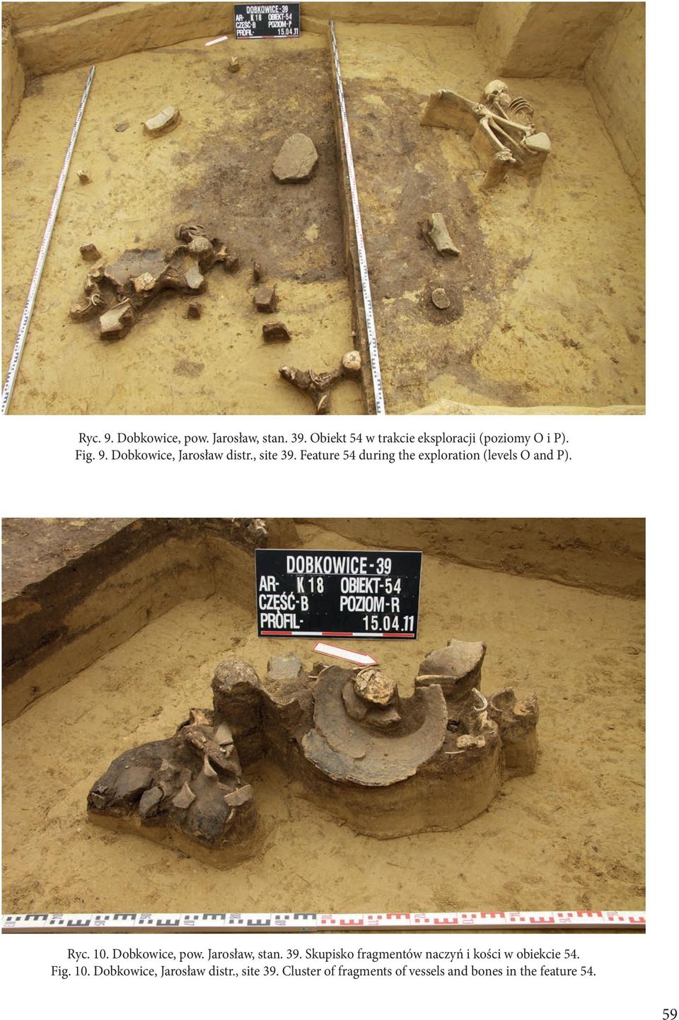 10. Dobkowice, pow. Jarosław, stan. 39. Skupisko fragmentów naczyń i kości w obiekcie 54. Fig. 10.