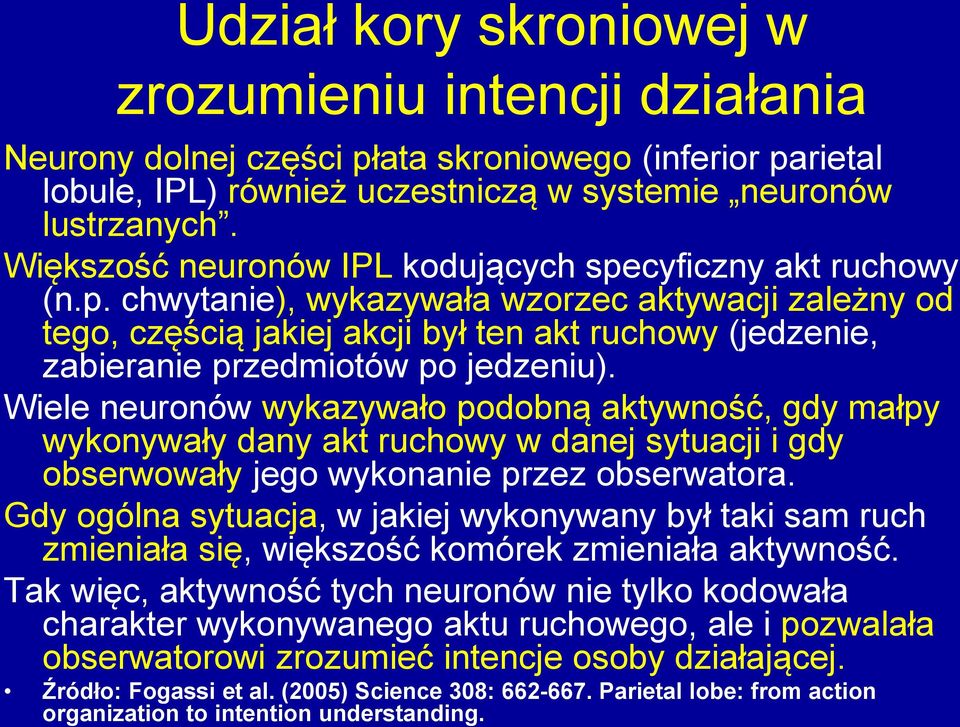 Wiele neuronów wykazywało podobną aktywność, gdy małpy wykonywały dany akt ruchowy w danej sytuacji i gdy obserwowały jego wykonanie przez obserwatora.