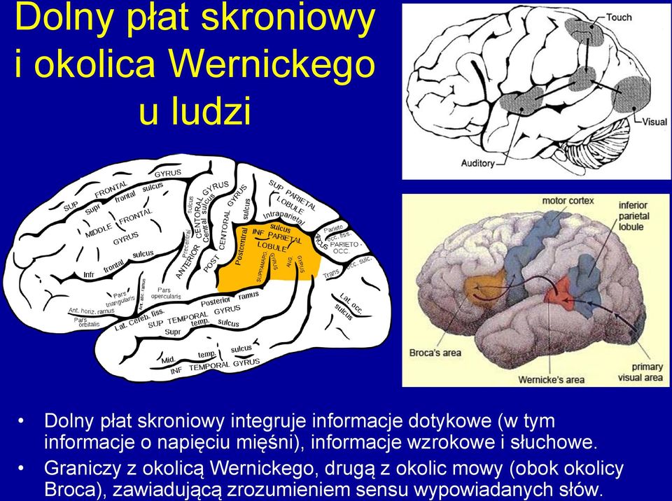 informacje wzrokowe i słuchowe.