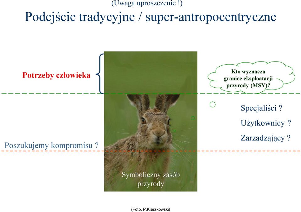 człowieka Kto wyznacza granice eksploatacji przyrody (MSY)?