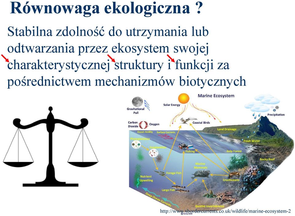 ekosystem swojej charakterystycznej struktury i funkcji za