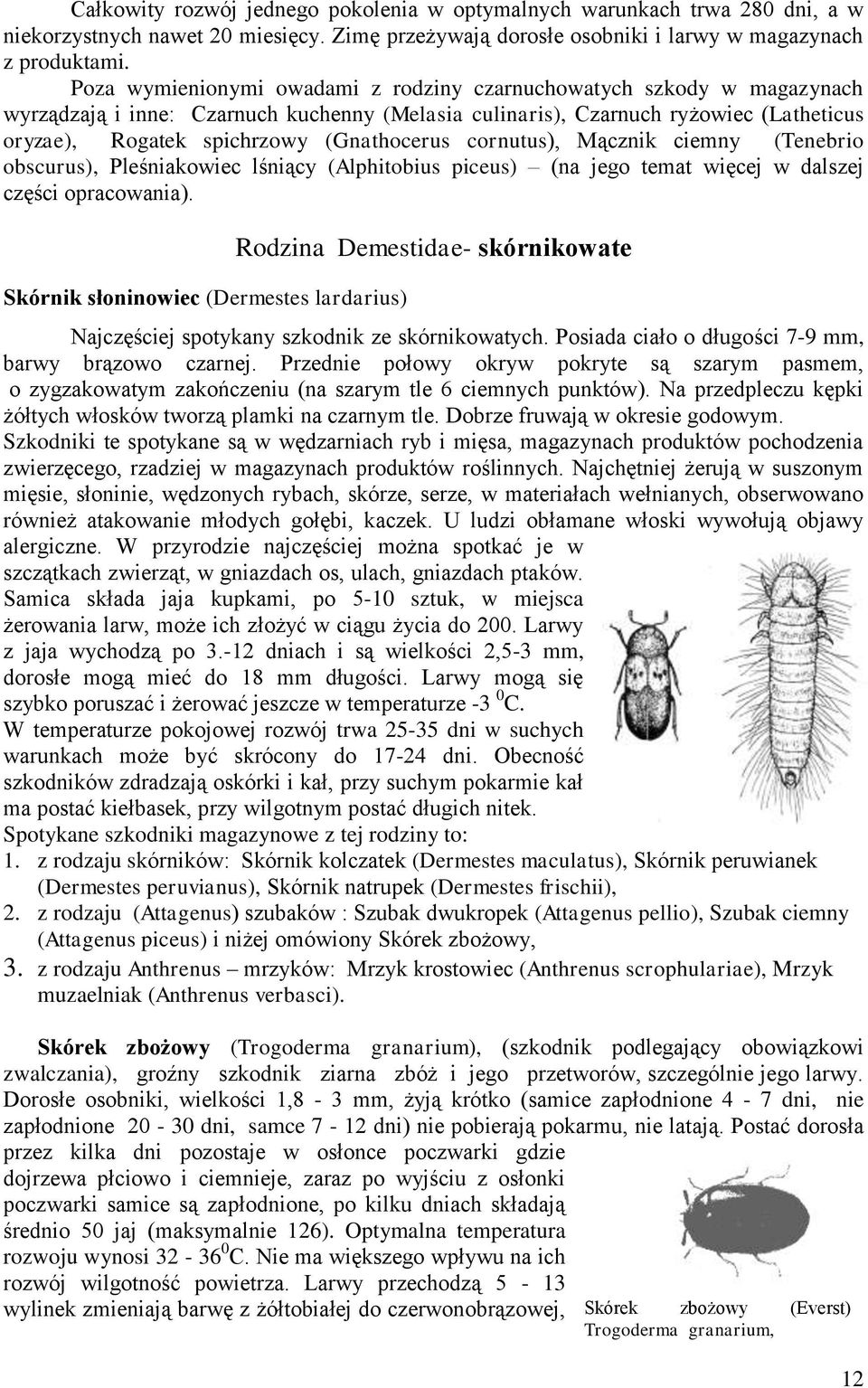 Mącznik ciemny (Tenebrio obscurus), Pleśniakowiec lśniący (Alphitobius piceus) (na jego temat więcej w dalszej części opracowania) Skórnik słoninowiec (Dermestes lardarius) Rodzina Demestidae-