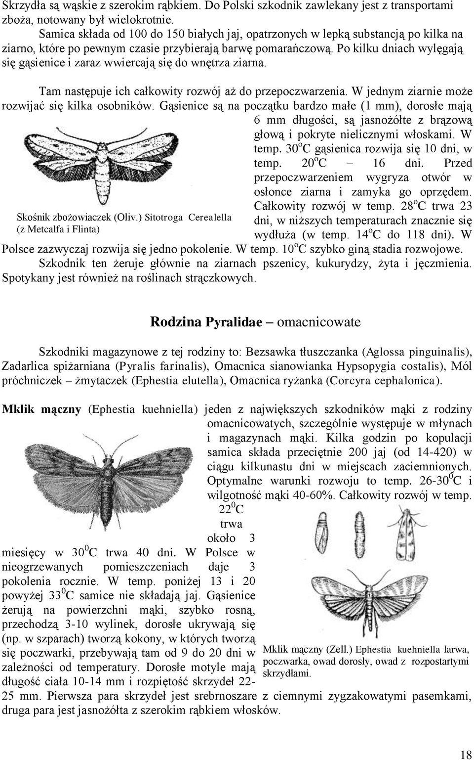 przepoczwarzenia W jednym ziarnie może rozwijać się kilka osobników Gąsienice są na początku bardzo małe (1 mm), dorosłe mają 6 mm długości, są jasnożółte z brązową głową i pokryte nielicznymi