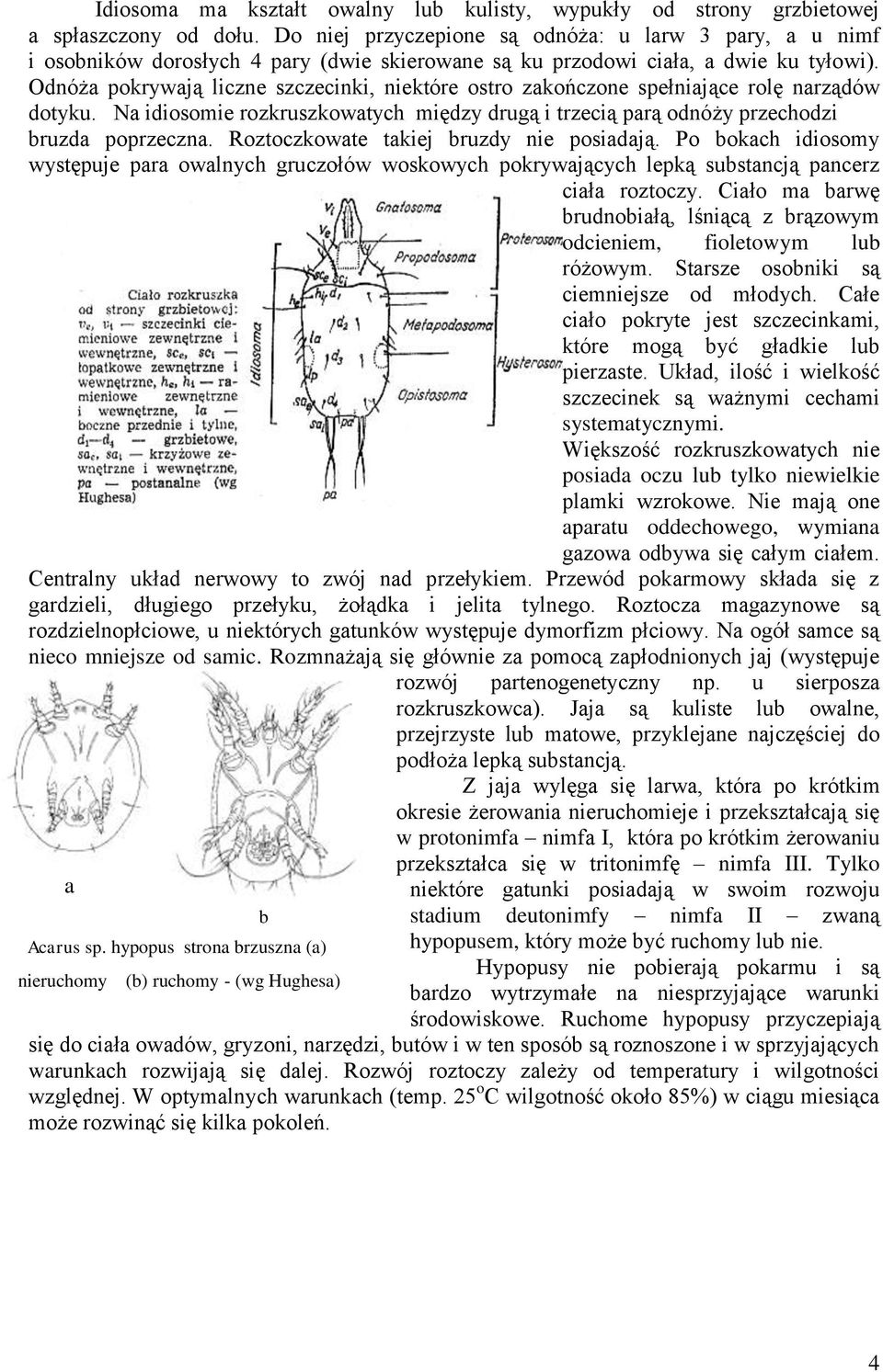 przechodzi bruzda poprzeczna Roztoczkowate takiej bruzdy nie posiadają Po bokach idiosomy występuje para owalnych gruczołów woskowych pokrywających lepką substancją pancerz ciała roztoczy Ciało ma