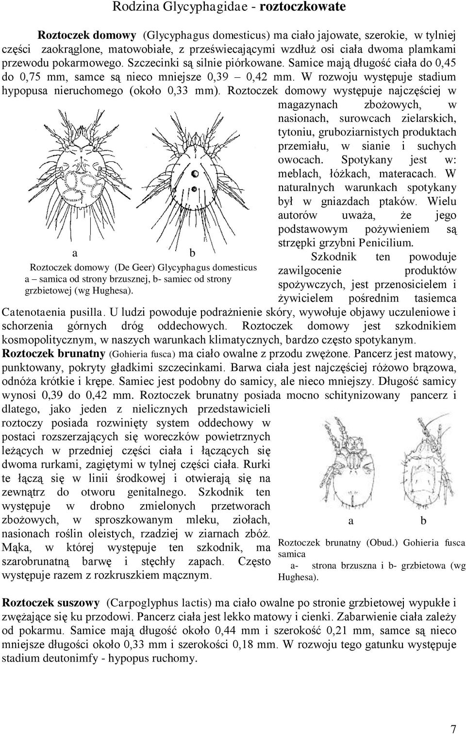 (około 0,33 mm) Roztoczek domowy występuje najczęściej w magazynach zbożowych, w nasionach, surowcach zielarskich, tytoniu, gruboziarnistych produktach przemiału, w sianie i suchych owocach Spotykany