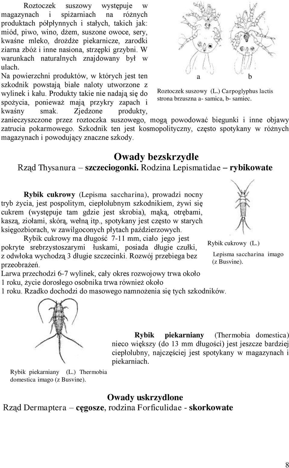 Produkty takie nie nadają się do spożycia, ponieważ mają przykry zapach i kwaśny smak Zjedzone produkty, zanieczyszczone przez roztoczka suszowego, mogą powodować biegunki i inne objawy zatrucia