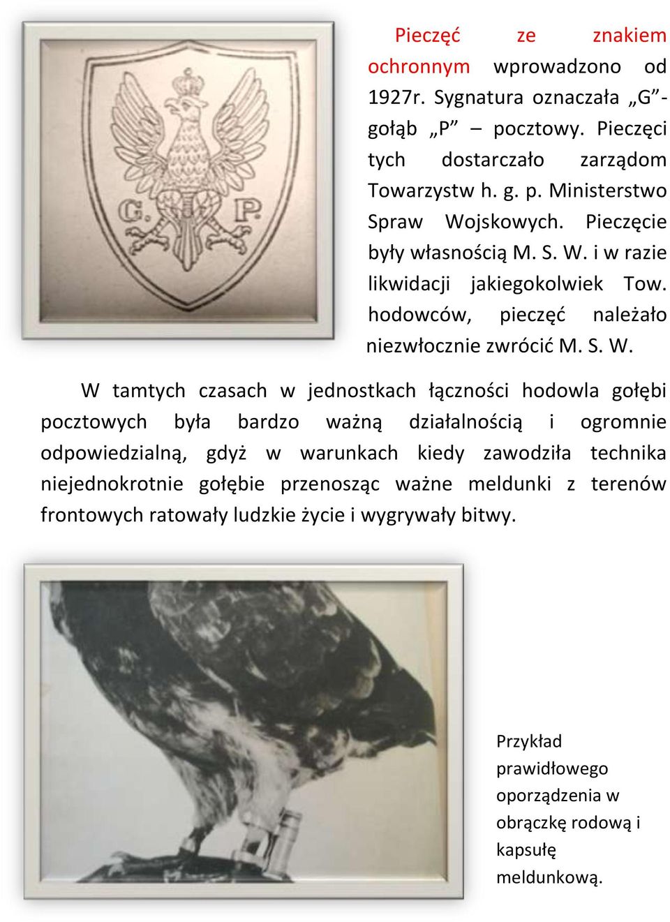 i w razie likwidacji jakiegokolwiek Tow. hodowców, pieczęć należało niezwłocznie zwrócić M. S. W.