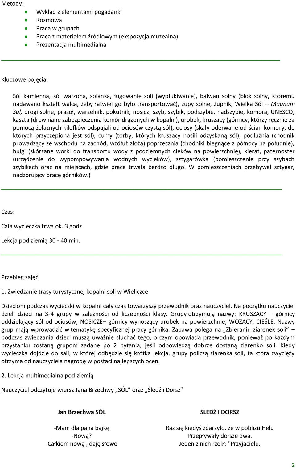 warzelnik, pokutnik, nosicz, szyb, szybik, podszybie, nadszybie, komora, UNESCO, kaszta (drewniane zabezpieczenia komór drążonych w kopalni), urobek, kruszacy (górnicy, którzy ręcznie za pomocą