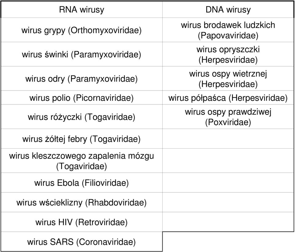 (Herpesviridae) wirus półpaśca (Herpesviridae) wirus ospy prawdziwej (Poxviridae) wirus żółtej febry (Togaviridae) wirus kleszczowego