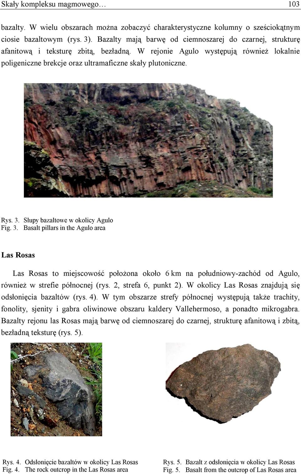 Rys. 3. Słupy bazaltowe w okolicy Agulo Fig. 3. Basalt pillars in the Agulo area Las Rosas Las Rosas to miejscowość położona około 6 km na południowy-zachód od Agulo, również w strefie północnej (rys.