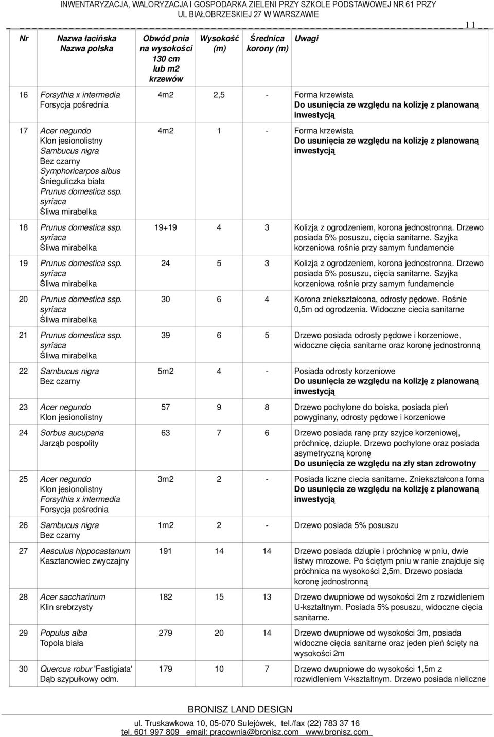 22 Sambucus nigra 23 Acer negundo 24 Sorbus aucuparia Jarząb pospolity 25 Acer negundo Forsythia x intermedia Forsycja pośrednia 26 Sambucus nigra 27 Aesculus hippocastanum Kasztanowiec zwyczajny 28