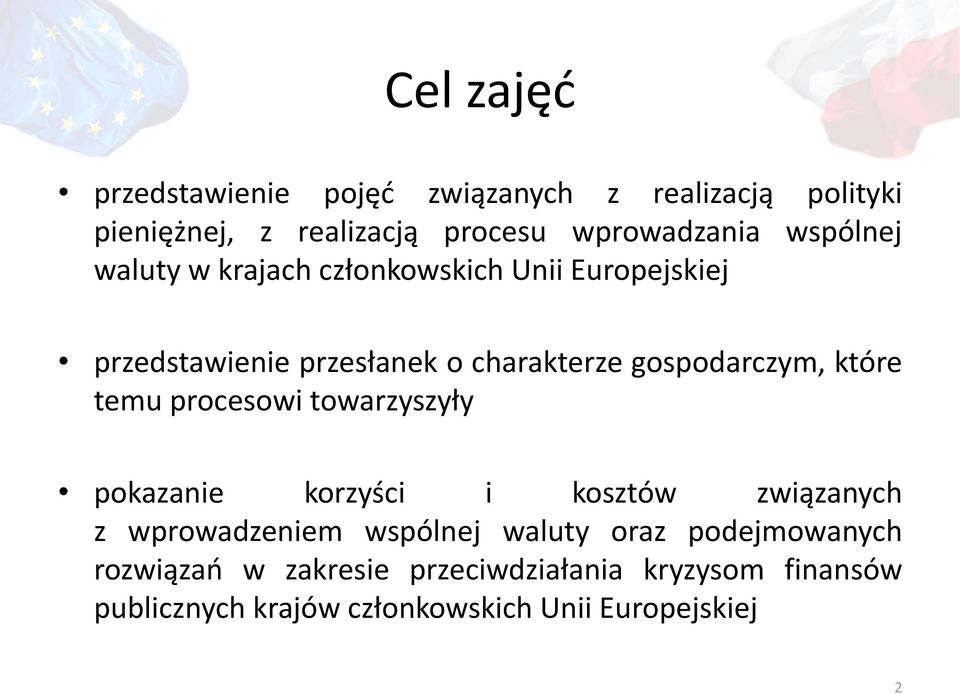 które temu procesowi towarzyszyły pokazanie korzyści i kosztów związanych z wprowadzeniem wspólnej waluty oraz