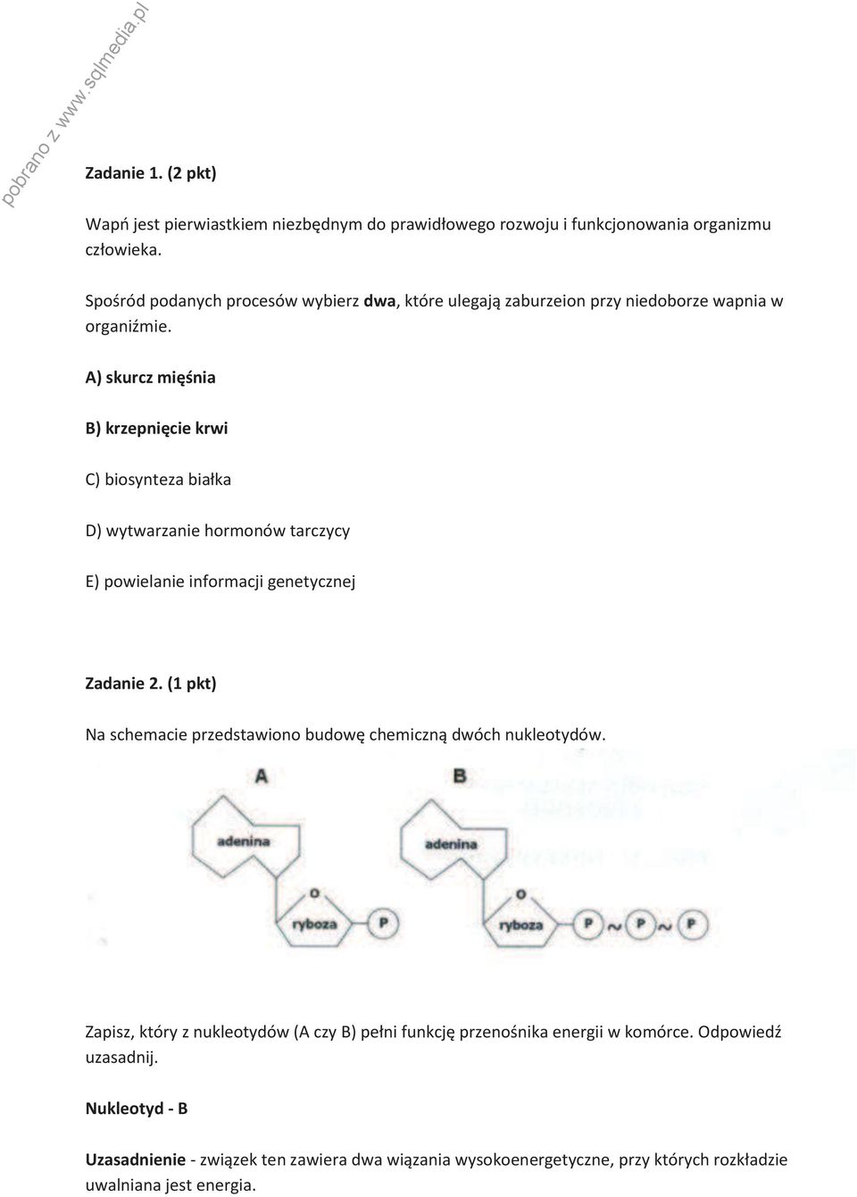 A) skurcz mięśnia B) krzepnięcie krwi C) biosynteza białka D) wytwarzanie hormonów tarczycy E) powielanie informacji genetycznej Zadanie 2.