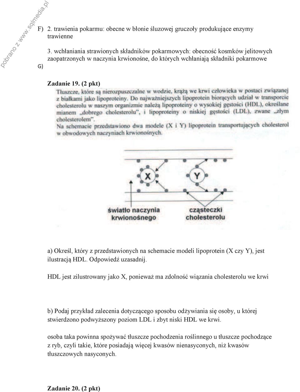 (2 pkt) a) Określ, który z przedstawionych na schemacie modeli lipoprotein (X czy Y), jest ilustracją HDL. Odpowiedź uzasadnij.
