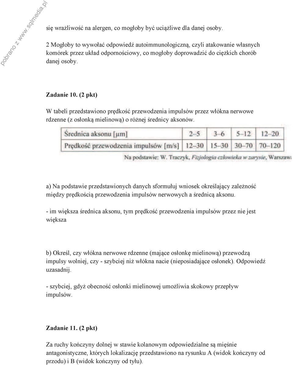 (2 pkt) W tabeli przedstawiono prędkość przewodzenia impulsów przez włókna nerwowe rdzenne (z osłonką mielinową) o różnej średnicy aksonów.