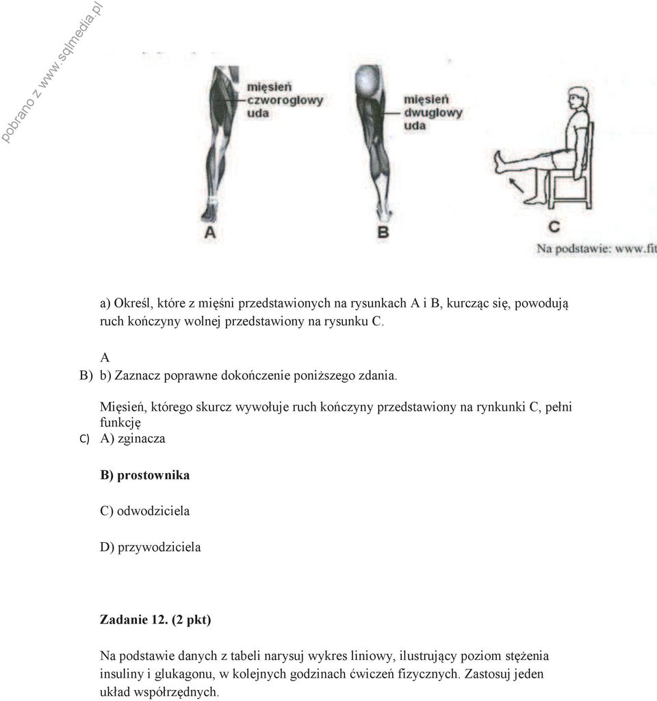 Mięsień, którego skurcz wywołuje ruch kończyny przedstawiony na rynkunki C, pełni funkcję C) A) zginacza B) prostownika C) odwodziciela