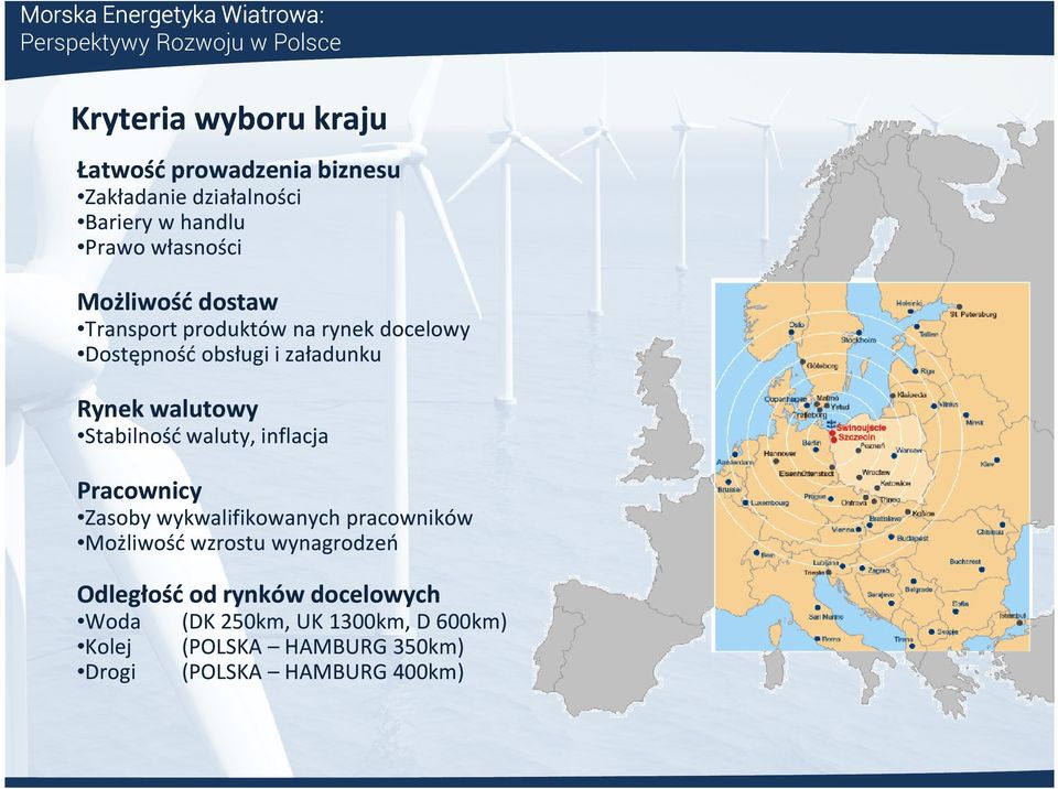 Rynek walutowy Stabilność waluty, inflacja Pracownicy Zasoby wykwalifikowanych pracowników Możliwość wzrostu