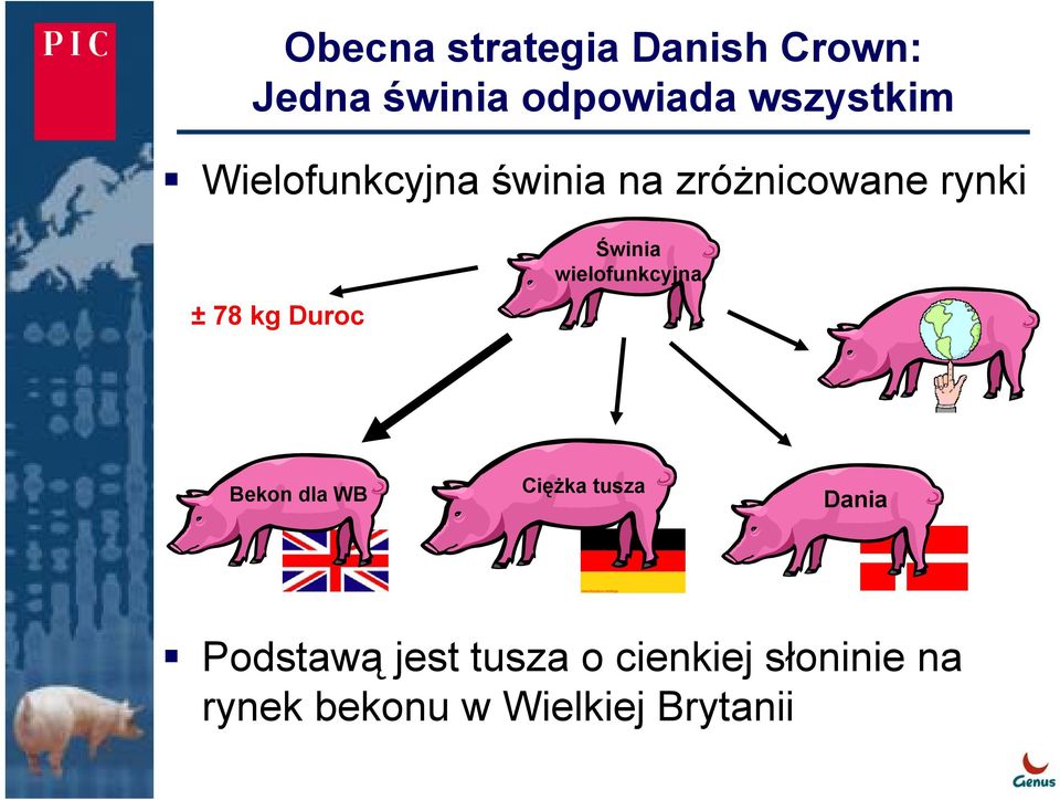 Duroc Świnia wielofunkcyjna Bekon dla WB Ciężka tusza Dania