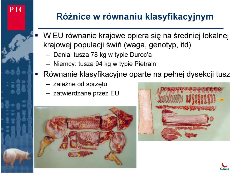 78 kg w typie Duroc a Niemcy: tusza 94 kg w typie Pietrain Równanie