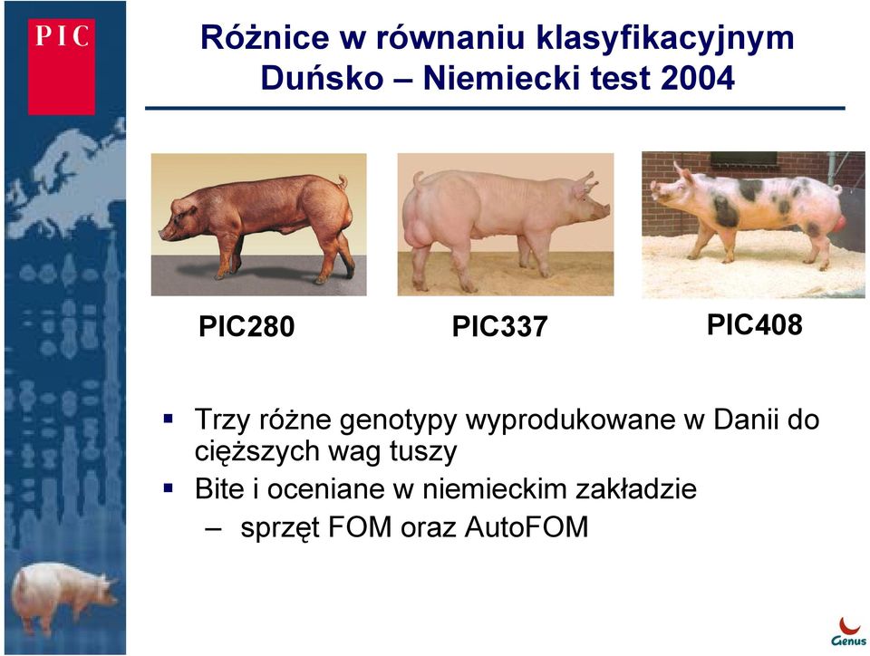 wyprodukowane w Danii do cięższych wag tuszy Bite i