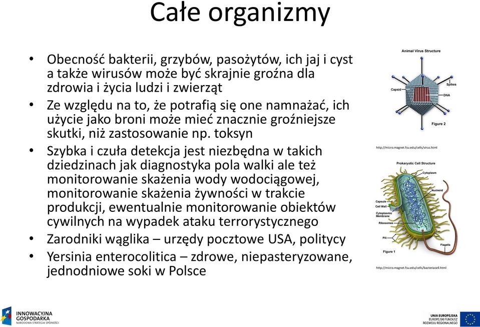 toksyn Szybka i czuła detekcja jest niezbędna w takich dziedzinach jak diagnostyka pola walki ale też monitorowanie skażenia wody wodociągowej, monitorowanie skażenia żywności w trakcie