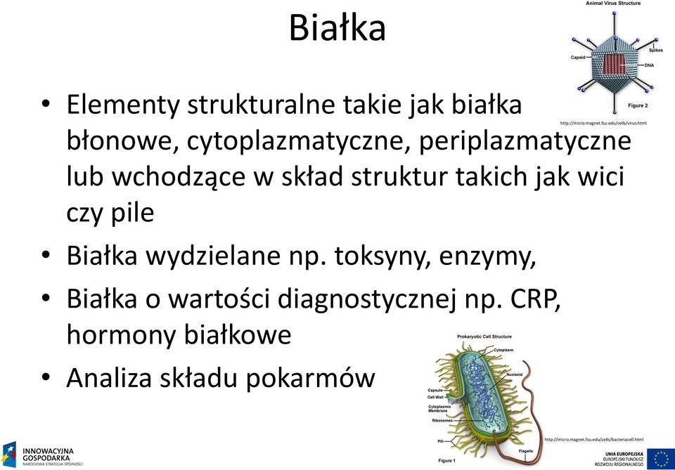 toksyny, enzymy, Białka o wartości diagnostycznej np.