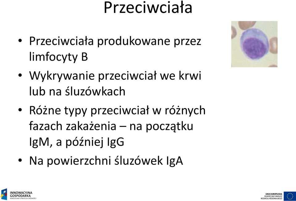 Różne typy przeciwciał w różnych fazach zakażenia na