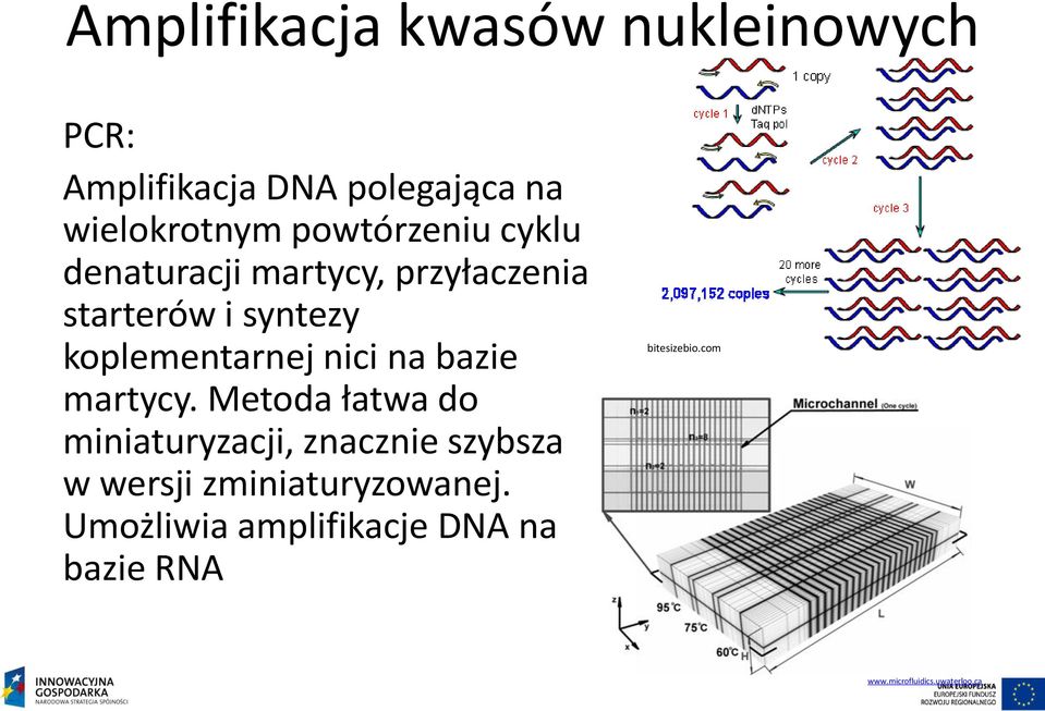 nici na bazie martycy.